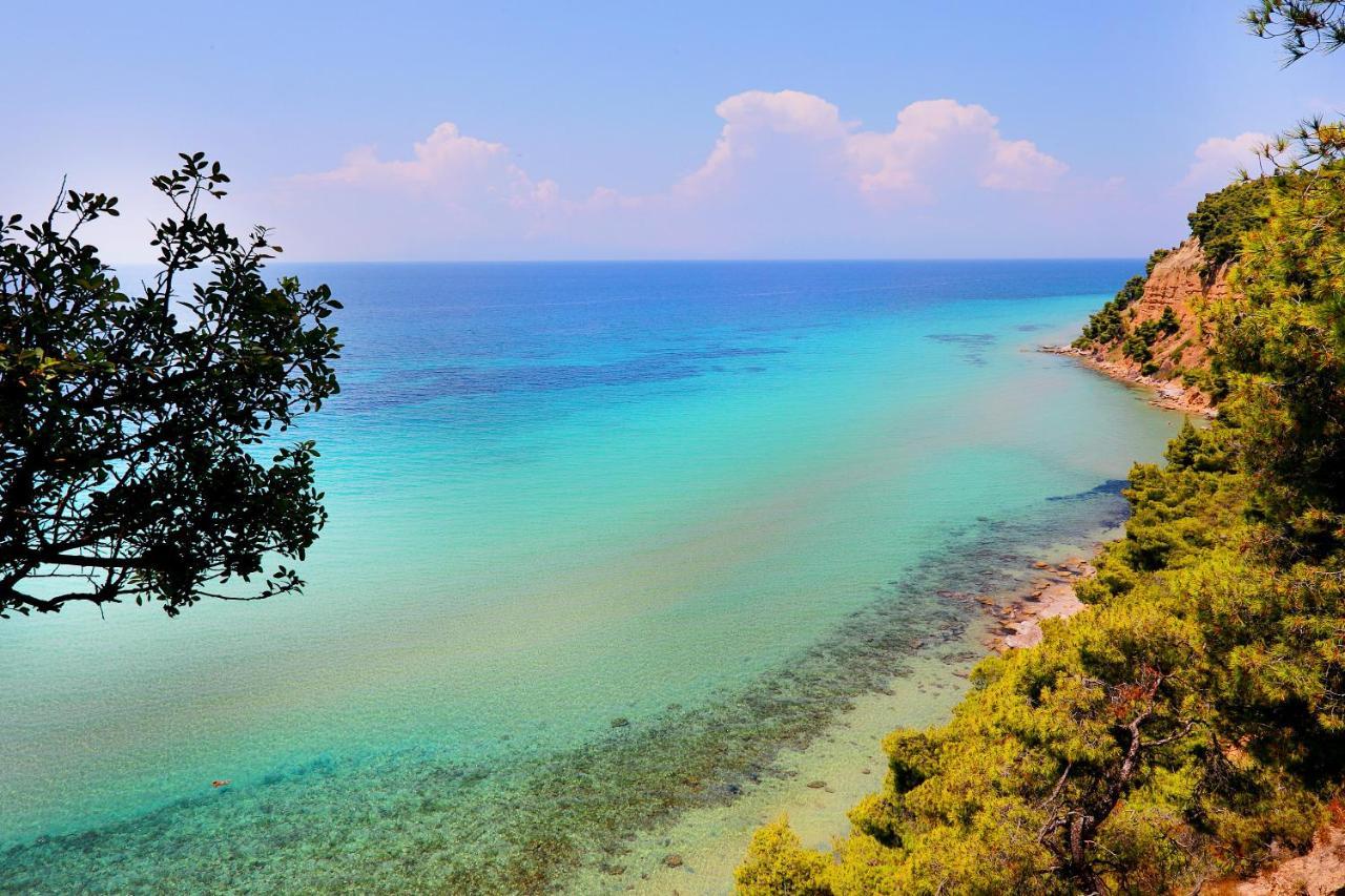 Ariadni Villa Sani Sani  Zewnętrze zdjęcie