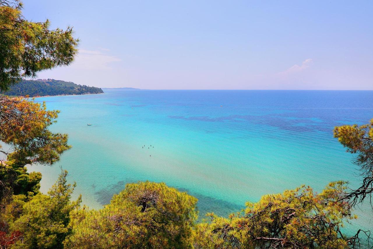 Ariadni Villa Sani Sani  Zewnętrze zdjęcie